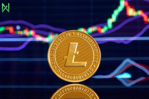 Litecoin investment